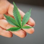 Marijuana shop in Wuppertal image_371.jpg