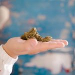 Buy THC marijuana in Estonia image_484.jpg