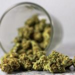 Weed shop in Spain image_643.jpg