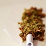 Cannabis store in Palermo image_679.jpg