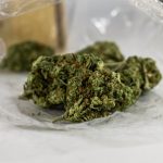 Buy the weed in Italy image_788.jpg